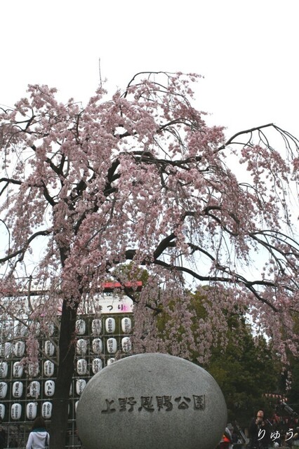 上野公園